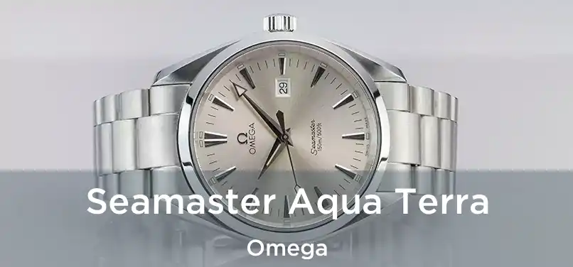  Seamaster Aqua Terra Omega